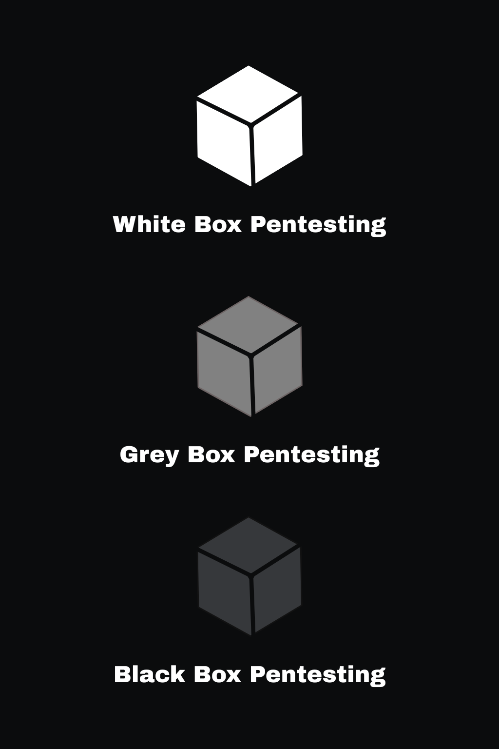 case4
